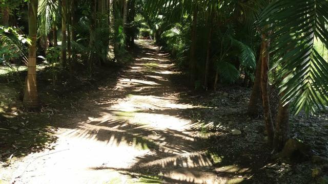 Otima Oportunidade - Foto 10