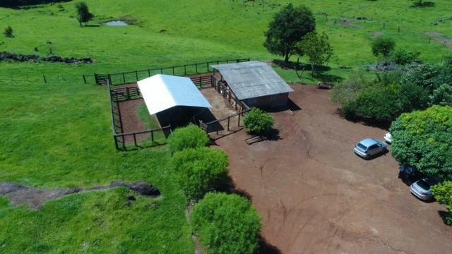 Área rural localizado na cidade de Lindoeste-PR - Foto 3