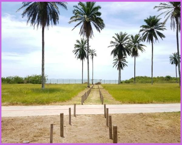 Costa Itapema, lotes a partir de 413 m² - 2