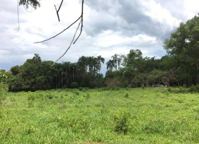 Chácara de 20mil Mt à venda a 80 km de Goiânia - Foto 8