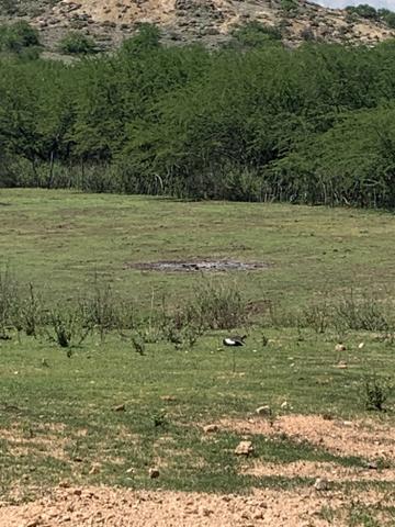 Chácara próximo a Patos - Foto 14