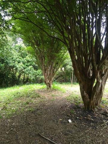 03* Ultima unidade 1000m² Arujá! - Foto 10