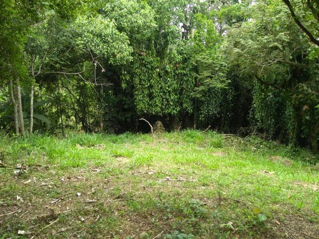 03* Ultima unidade 1000m² Arujá! - Foto 14