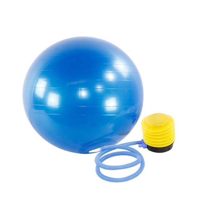 Bola Suíça 65 com bomba para Pilates ou Ginástica - Foto 5