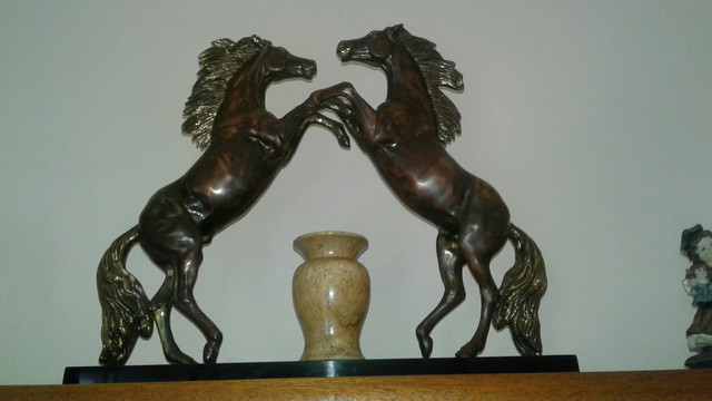 Cavalos selvagens - Foto 2
