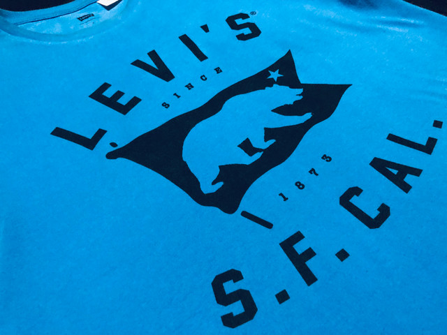 Camisa levis