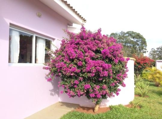 Casa em condominio fechado 2 quartos à venda - Águas de Santa Bárbara - SP  996524346 | OLX