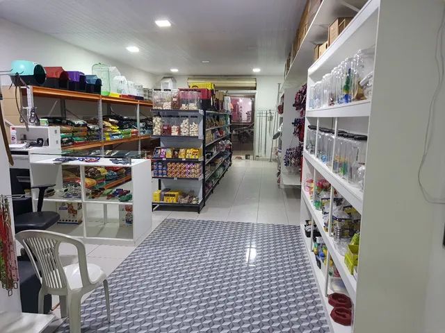 Pet Shop Perto de Mim Vila Santa Terezinha - Pet Shop Banho e Tosa