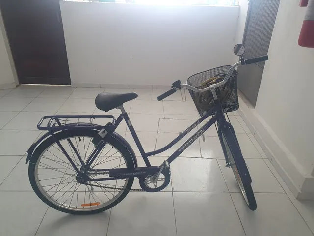 Bicicleta Super Fort com Garupa Aro 26 Violeta - Colli Bike