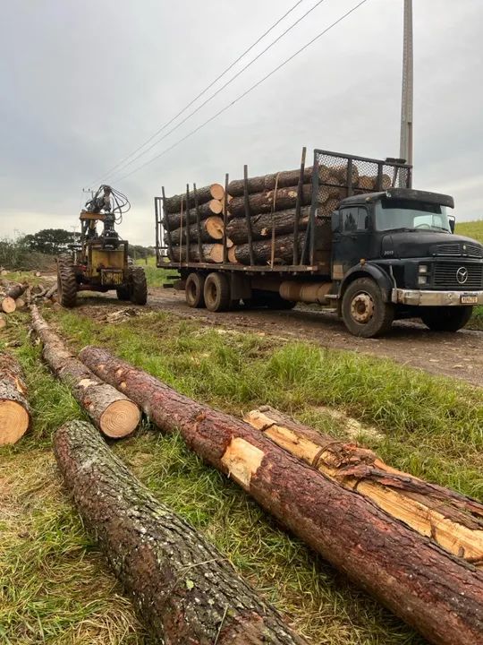 CBT 8060 4x4 Grua Florestal + Baldeador - Foto 3