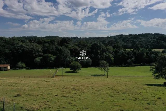 Chácara com 22.000 m² à venda em Campo Largo/PR - Foto 14