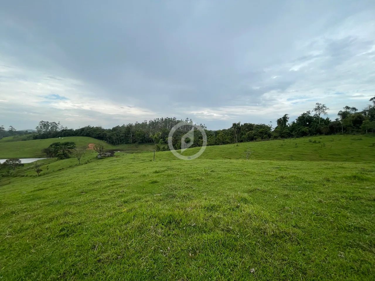 Terreno com pastagem de ampla metragem