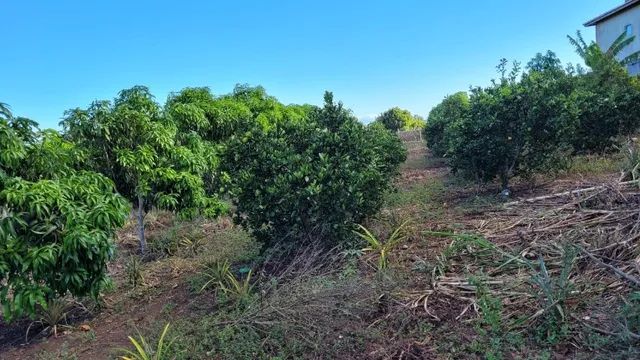 Chácara para venda com 5.010,00m² em Conquista - Bahia - Foto 12