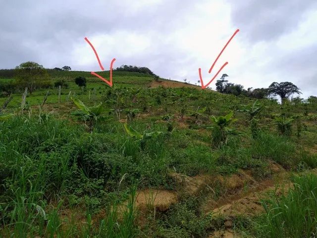Oportunidade Única de Investimento: Terreno à Venda em Perobas, Domingos Martins! - Foto 10