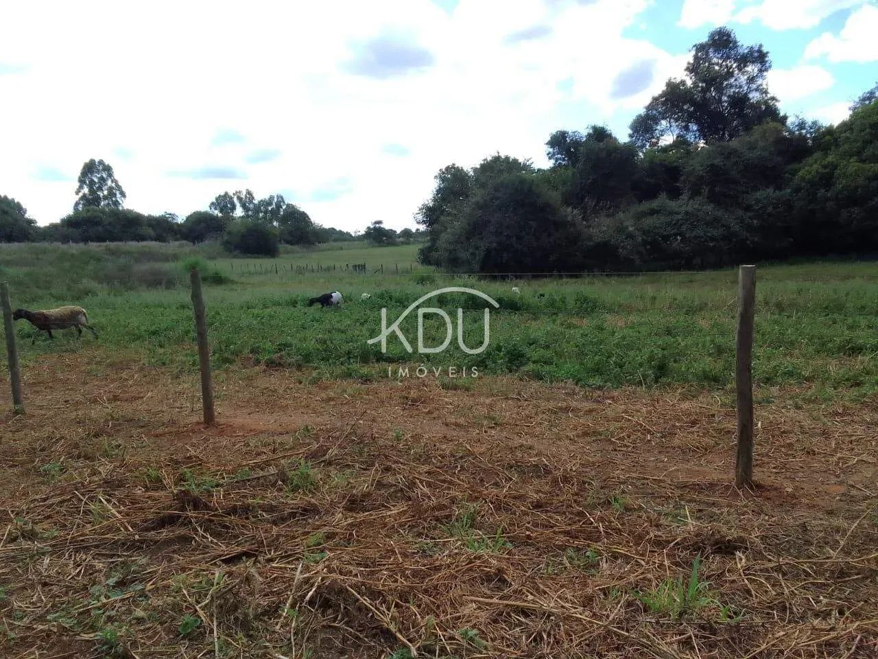 Chácara à venda Zona Rural Poxoréu 850.000,00 - Foto 5