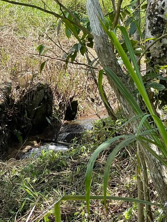 Venda de Sitio com 2.1 hectares escriturado em gravata com bastante de água !!!! - Foto 6