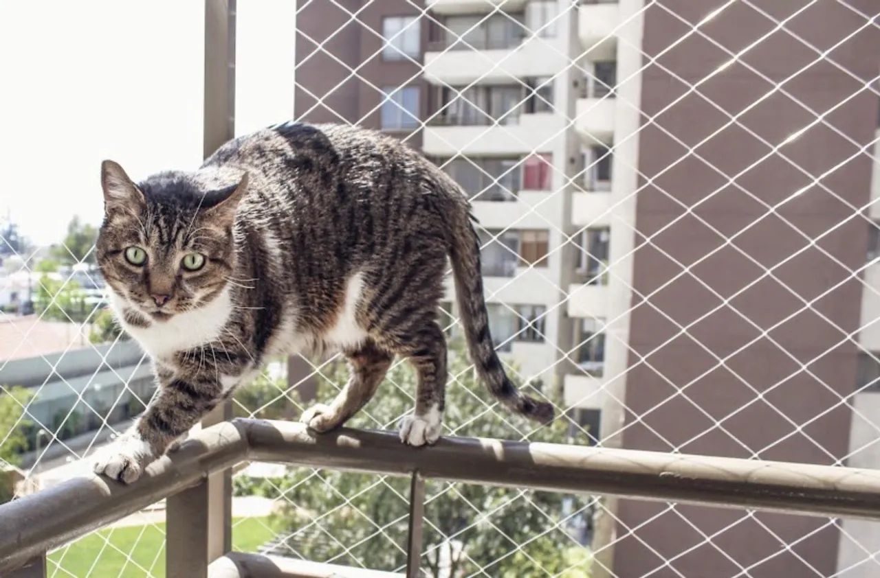 TELAS DE PROTEÇÃO  - Foto 3