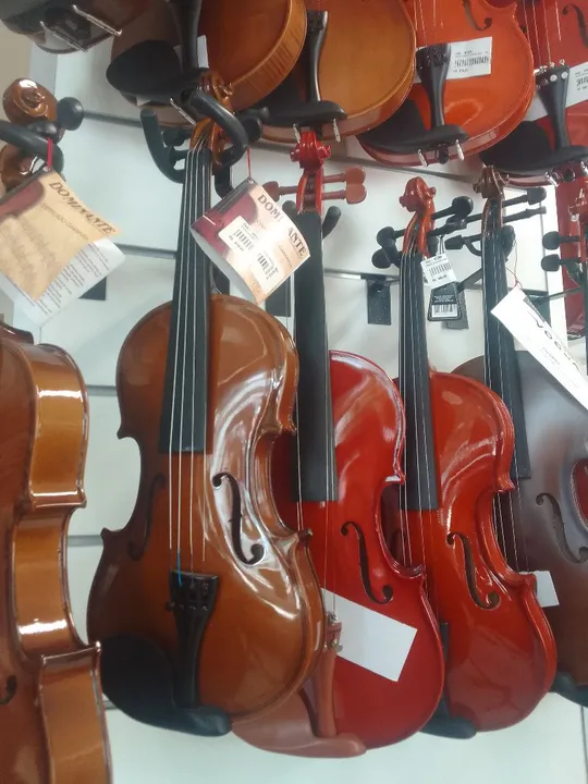 Vendo Violinos $570,00