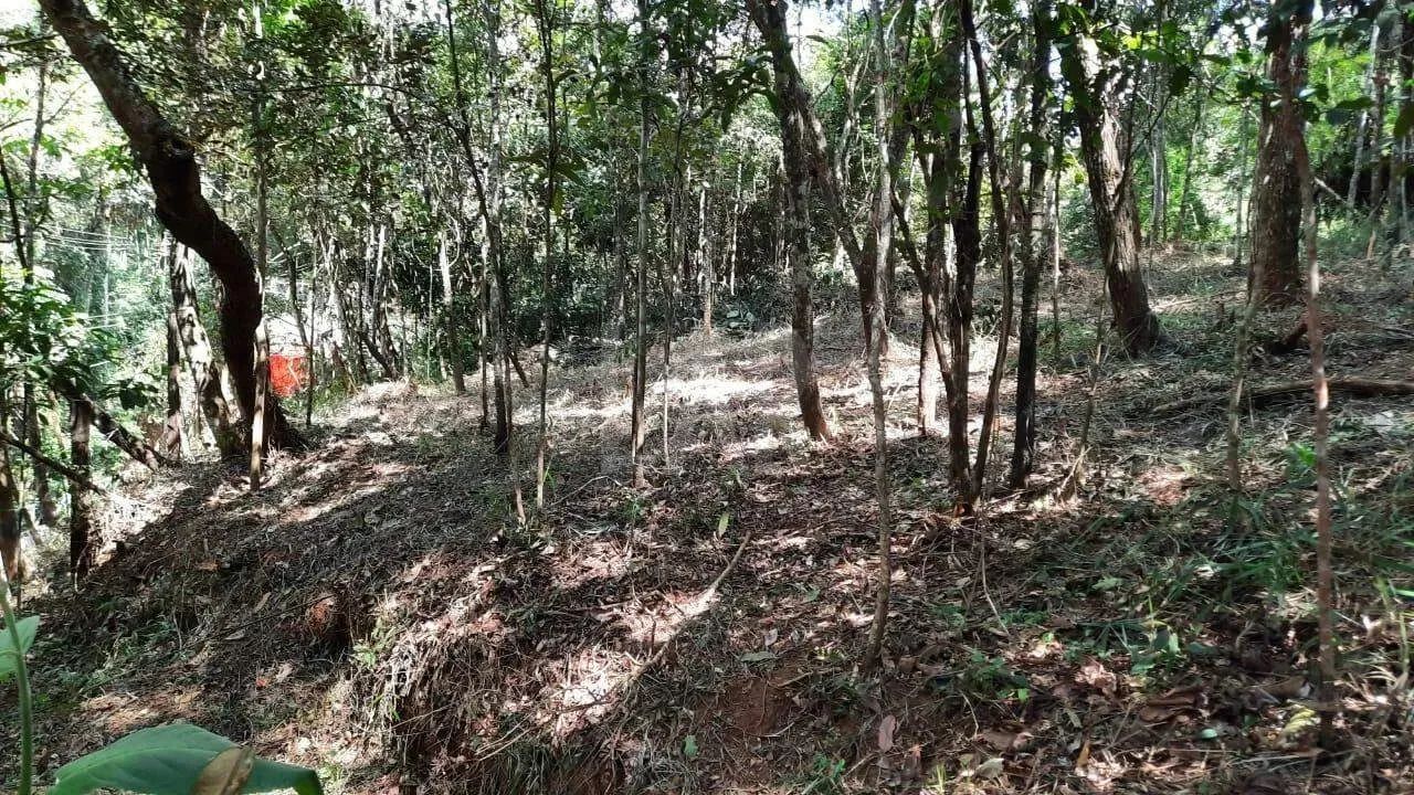 Lote em Condomínio à venda, Estância Serrana - Nova Lima/MG - Foto 9