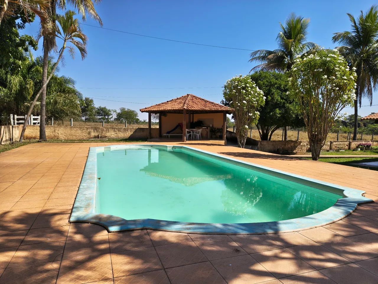 Fazenda Extra 41 Hectares! - Foto 3