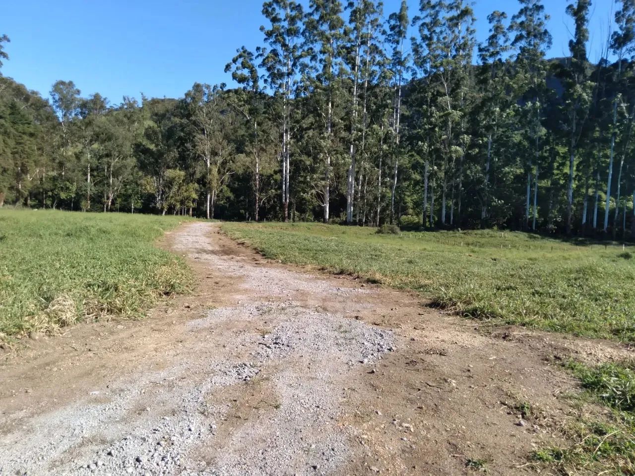 Lotes de aprox. 1 mil m2 à venda em Campo Alegre, 15 minutos de Visconde de Mauá.ACEITA PA - Foto 5