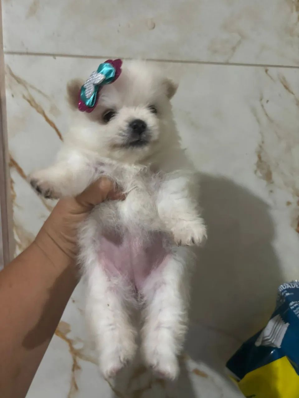 Linda princesinha  - Foto 2