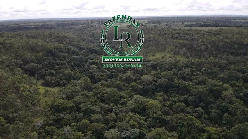 Fazenda 41 Alqueires Bruta Pecuária - Foto 2