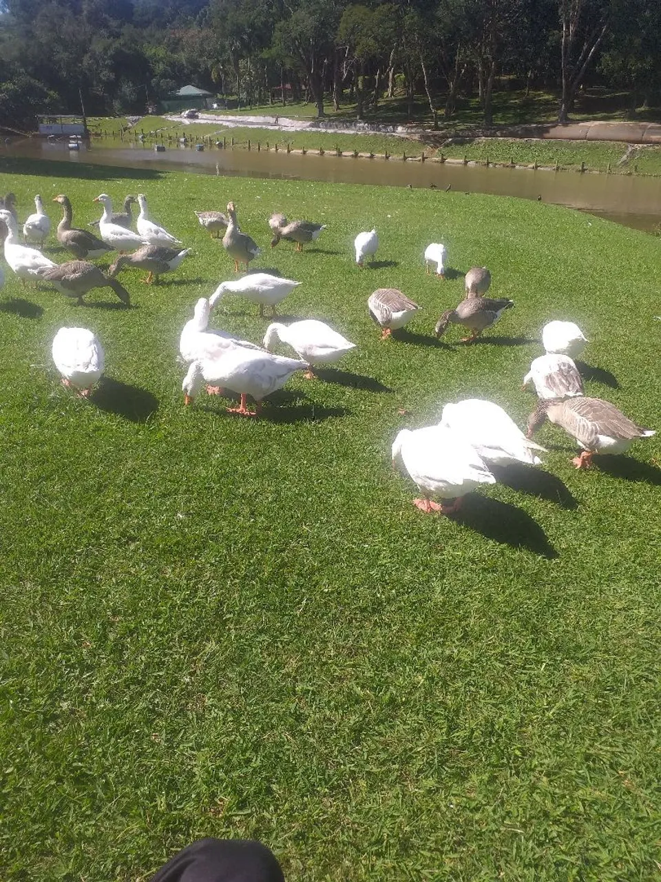 Jardim e reparos de manutençao Marcio sousa