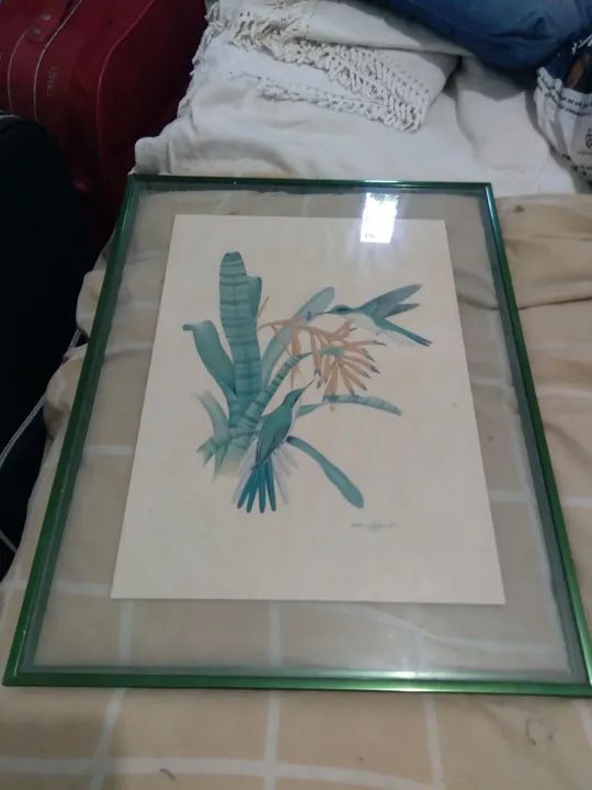 Pintura de pássaros etienne demont e postais  - Foto 3