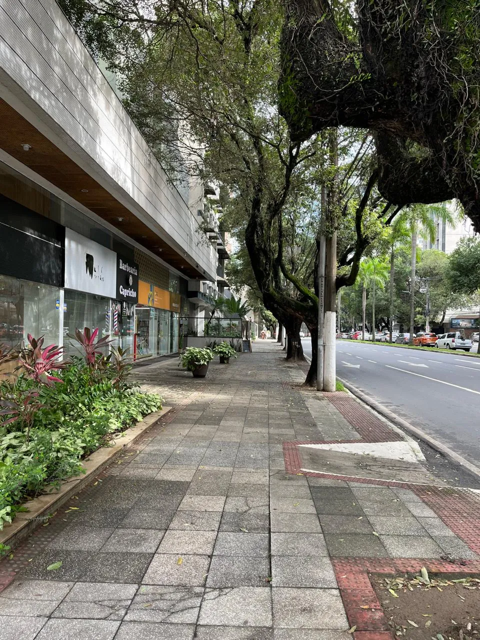 Oportundade de Investimento, Loja alugada na Praia do Canto!