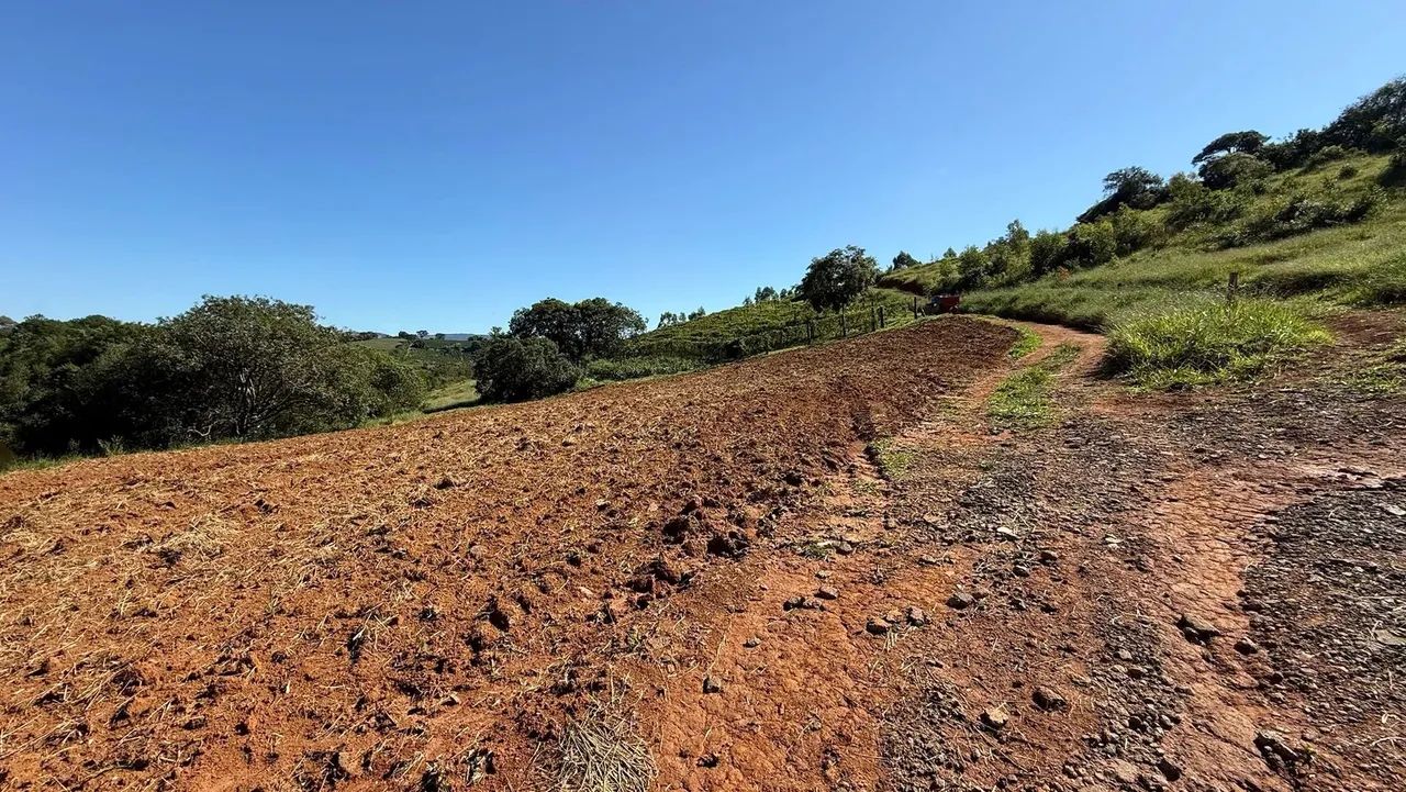 Lindo sítio produtivo a venda em Jacutinga -MG - Foto 4