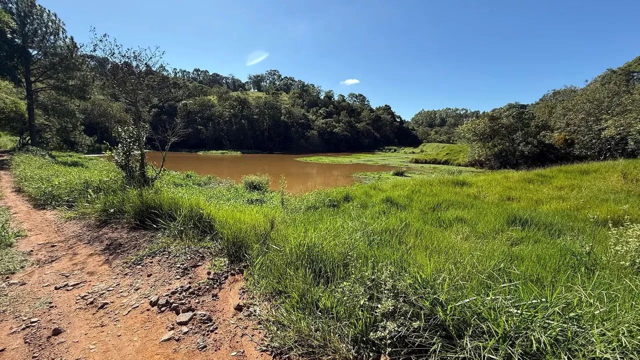 Lindo sítio produtivo a venda em Jacutinga -MG - Foto 2