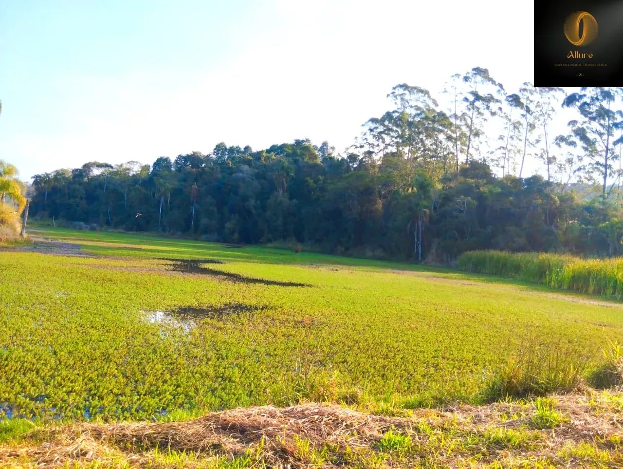 Imóvel para venda com 500 metros quadrados em Centro - COTIA - SP - Foto 2