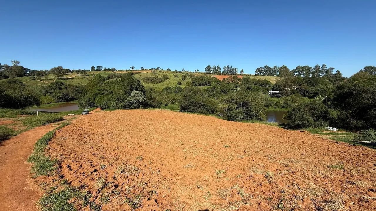 Lindo sítio produtivo a venda em Jacutinga -MG - Foto 5
