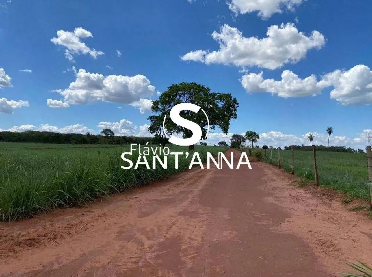 VENDE-SE SÍTIO NA REGIÃO DE INDIAPORÃ E OUROESTE. - Foto 2