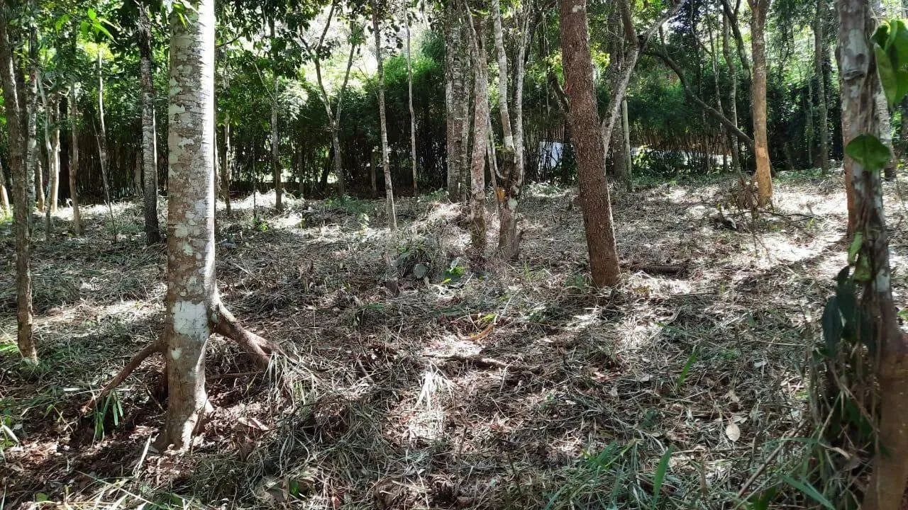 Lote em Condomínio à venda, Estância Serrana - Nova Lima/MG - Foto 7
