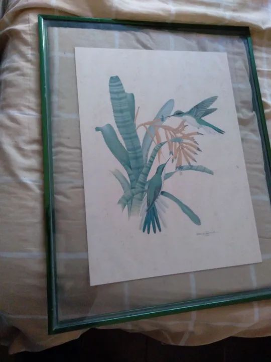 Pintura de pássaros etienne demont e postais 