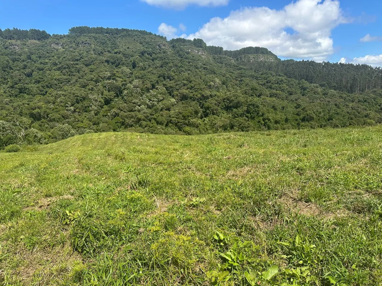 Vende sítio  - Foto 9