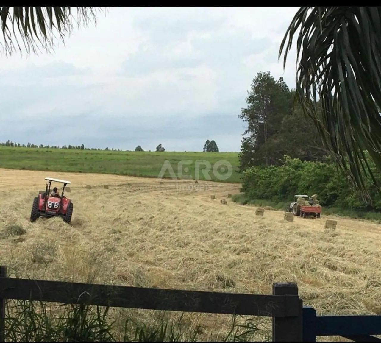 Fazenda com 153 m² e 3 quartos em Rural, Duartina - SP - Foto 5