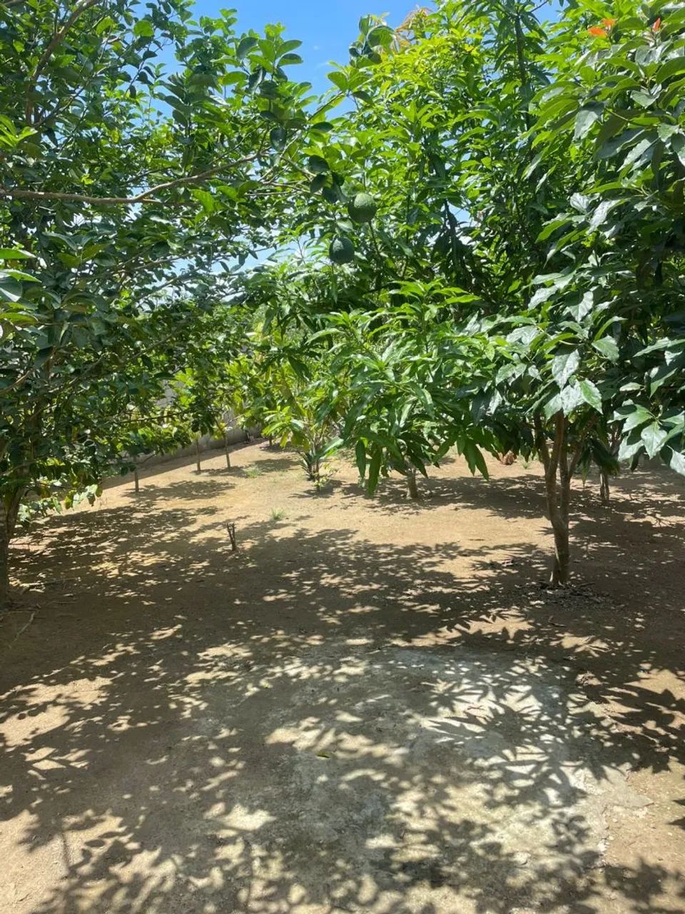 Chácara Iranduba  - Foto 3