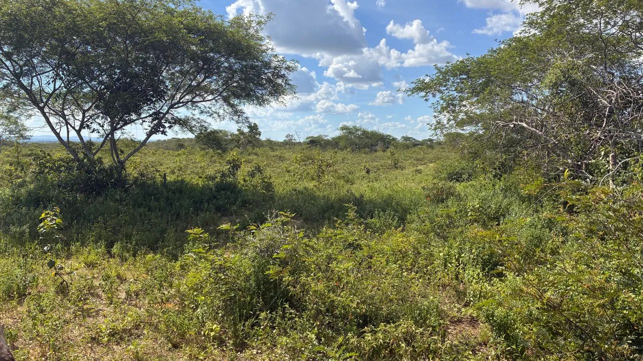 Foto - Água Fria - 