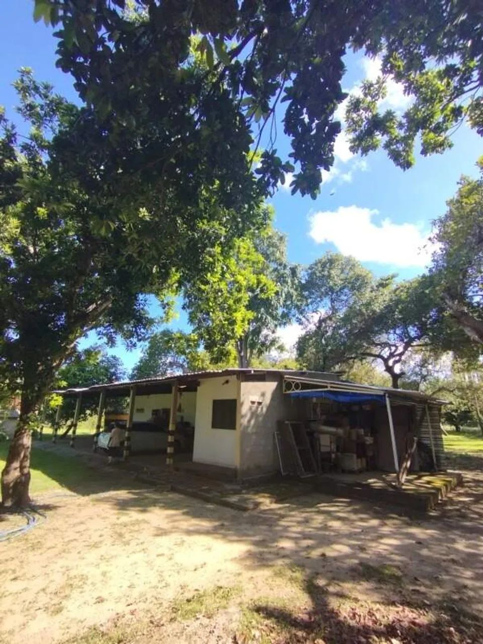 sítio - venda - Foto 2