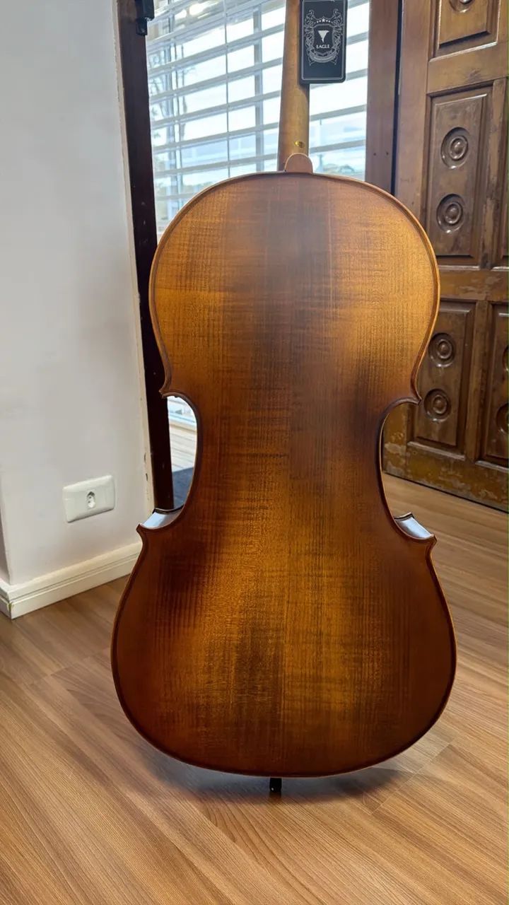 Violoncello Eagle CE 310  - Foto 4