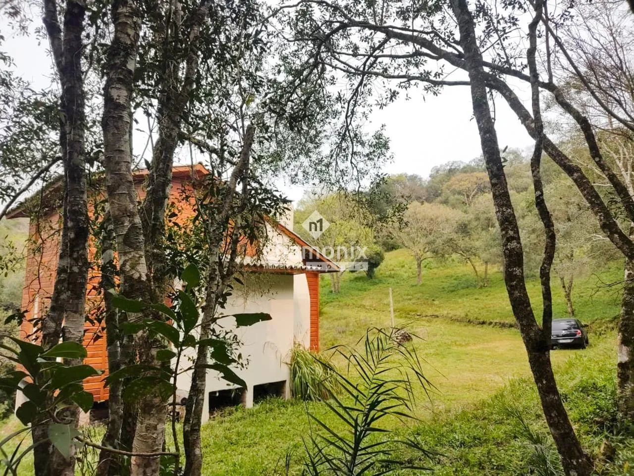 Chácara em Nova Pádua - Foto 3