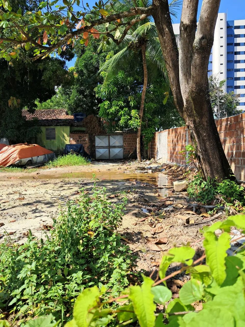 Terreno  - Foto 5