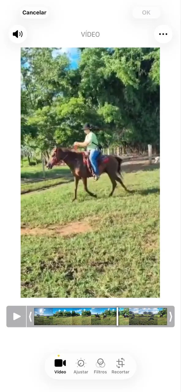 ÉGUA MACHADEIRA VENDA