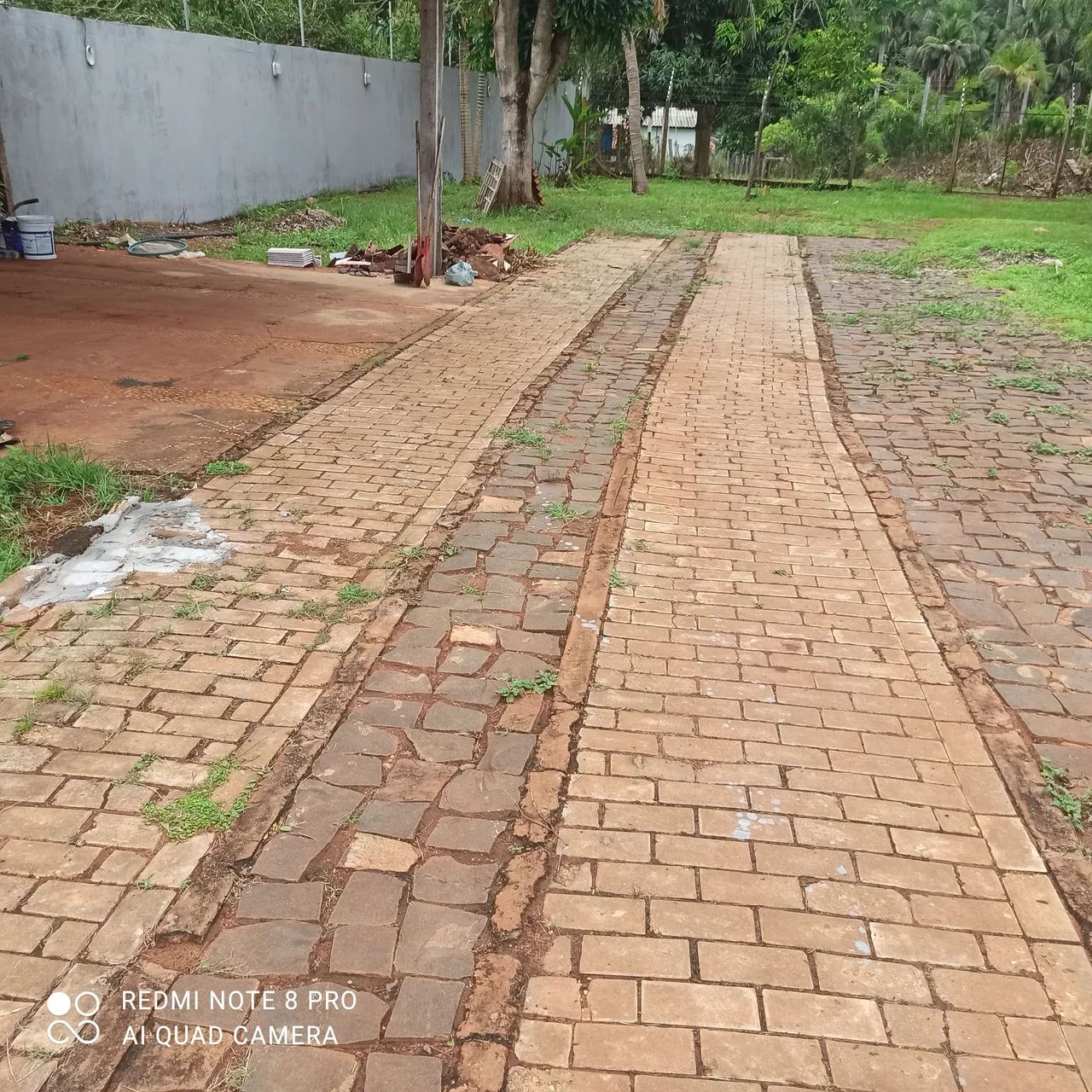 Não  - Foto 3