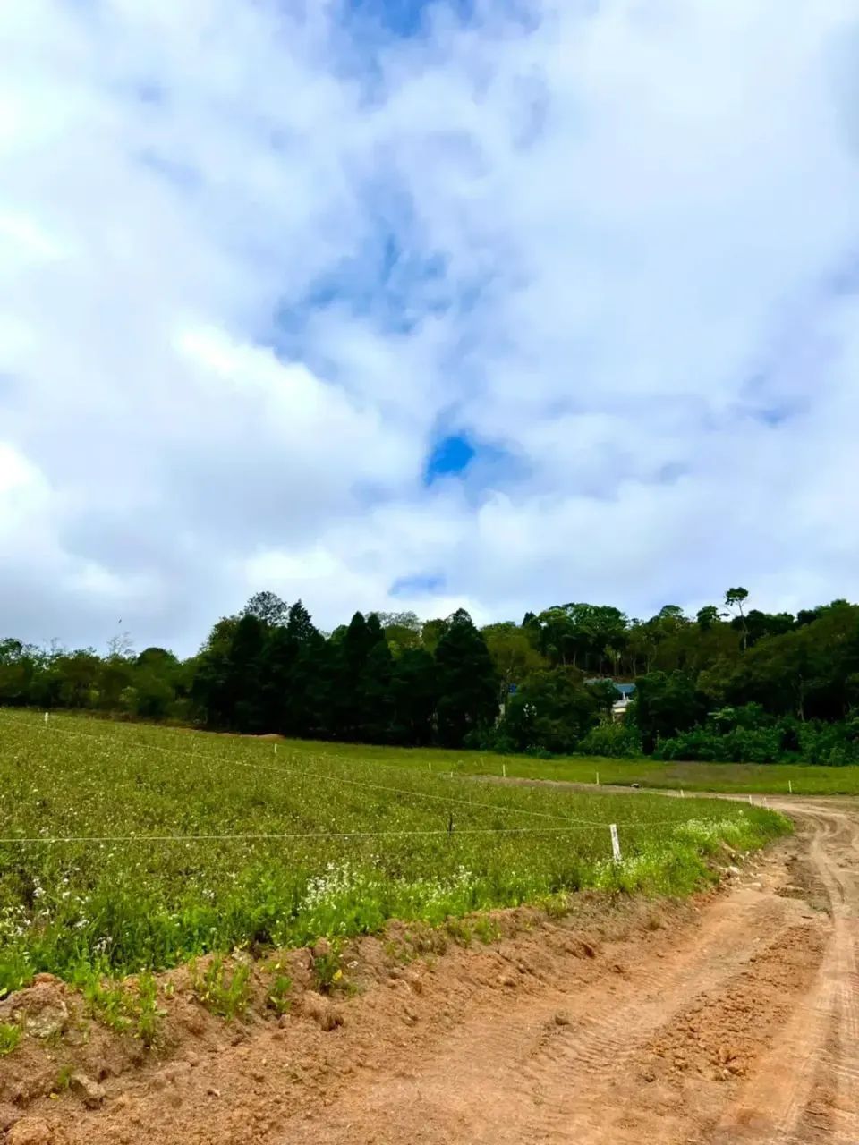 85M- TERRENO DE ALTO PADRÃO EM COTIA - Foto 2