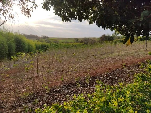VENDE-SE SÍTIO EM BERNARDINO DE CAMPOS/SP - Foto 2