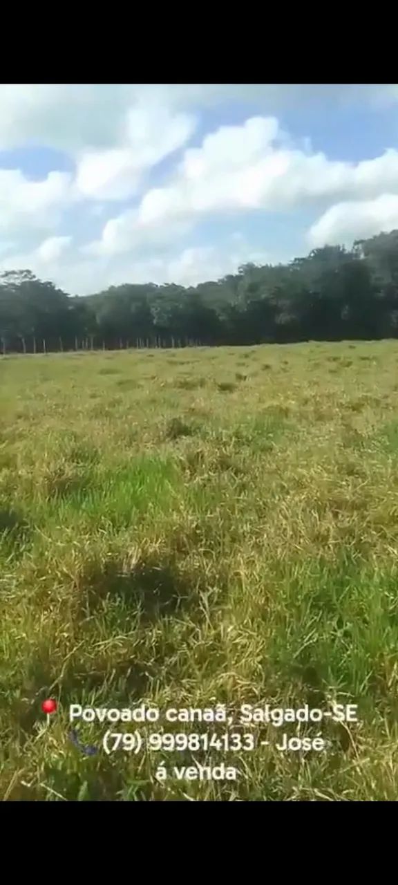 Vendo terreno 10 tarefas Povoado Canaã/Salgado-SE